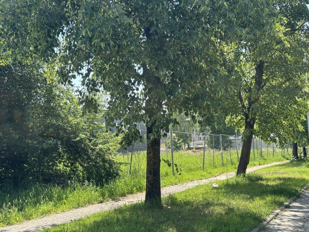 Geologų g. 7B (Geologų g. 7B) - Laohoone - ehituse fotod