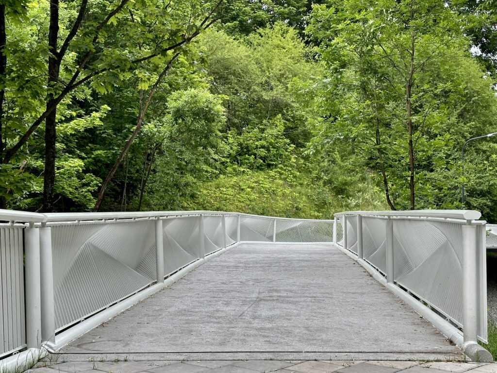 Tauro kalno parkas (V. Mykolaičio-Putino g.) - Park - construction photos