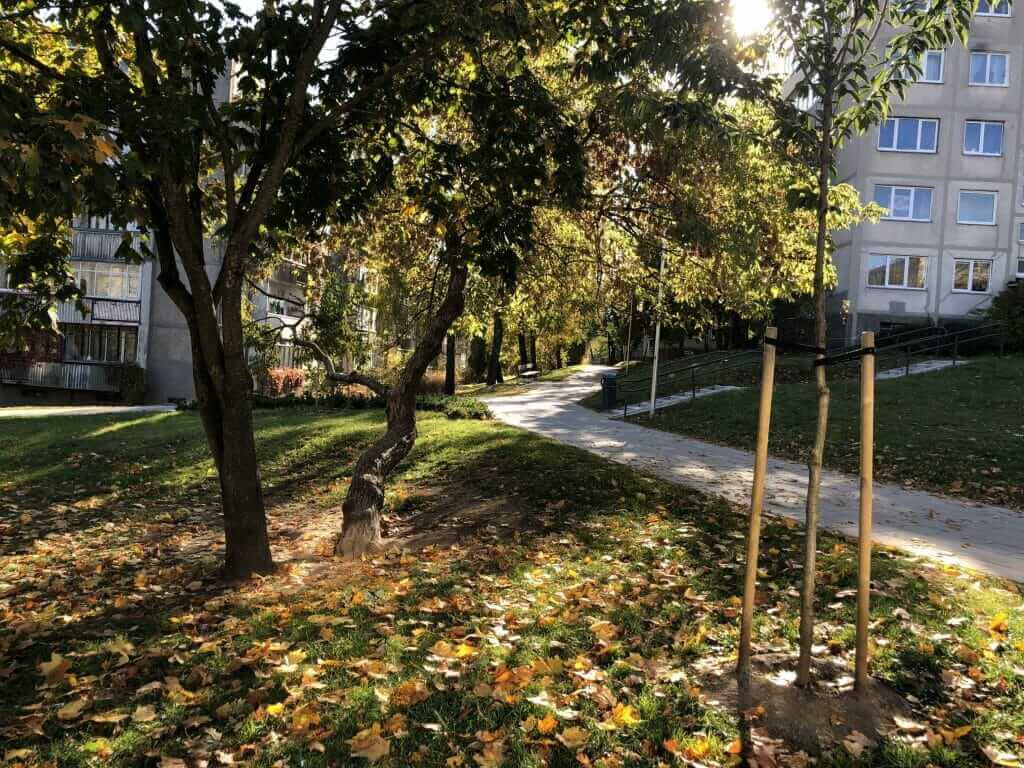 Žirmūnų trikampio modernizavimas (Tuskulėnų g.) - Bike path, Pedestrian path - construction photos
