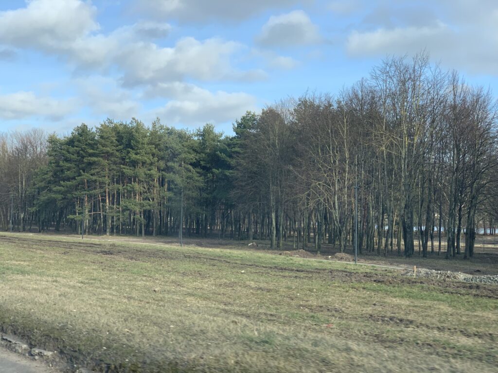 Neries krantinės parkas (Neries krant.) - Park - construction photos