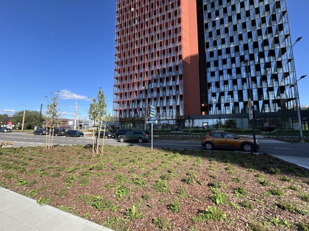 Viršilų g. nuo V. Lingio g. iki Justiniškių g. (Viršilų g.) - Bike path, Street - construction photos