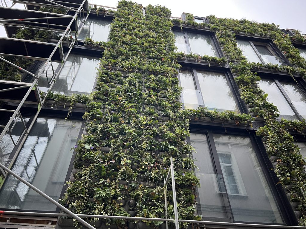 Teatro namai (Žvejų g. 3) - Daugiabutis - statybų nuotraukos