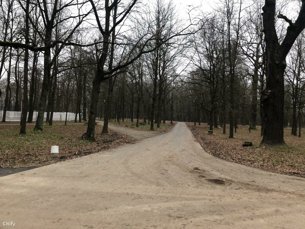 Ąžuolyno parkas (Radvilėnų pl.) - Park - construction photos