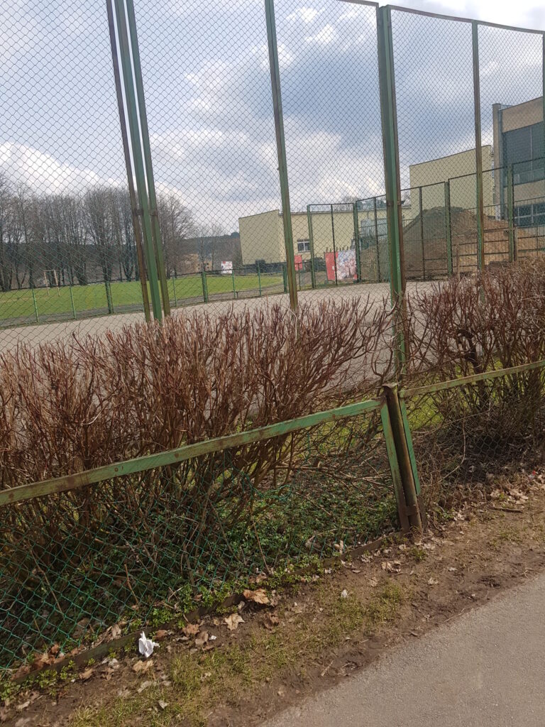 Žirmūnų gimnazijos baseino rekonstrukcija (Žirmūnų g. 37) - Pool - construction photos