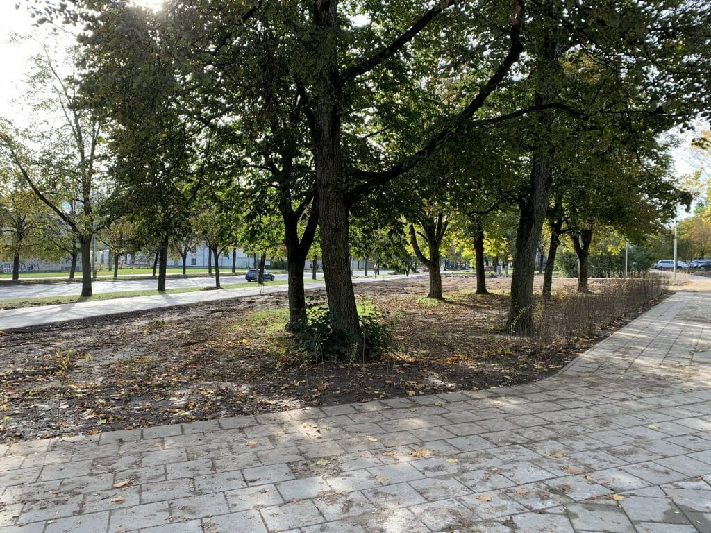 Žirmūnų trikampio modernizavimas (Tuskulėnų g.) - Bike path, Pedestrian path - construction photos