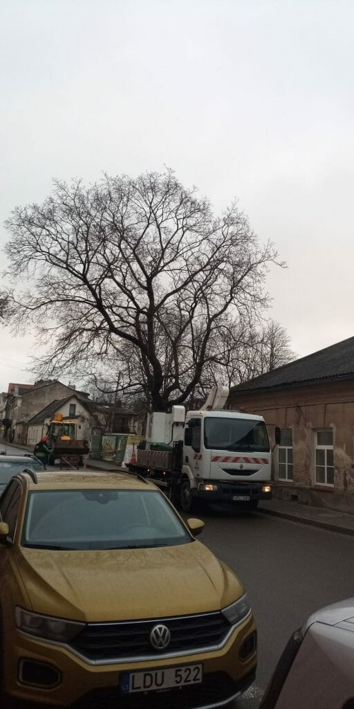 Užupio ložės (Polocko g. 7A) - Multi apartment - construction photos