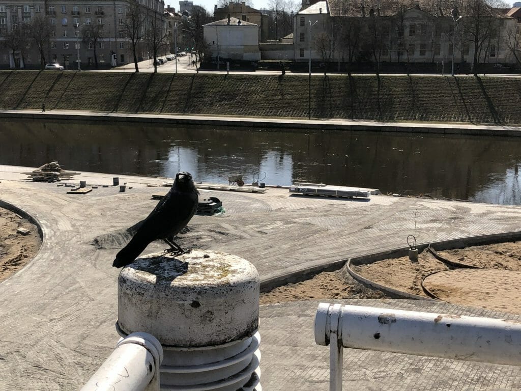 Neries dešiniosios krantinės (Upės g.) - Bike path, Sports field or court, Waterside - construction photos