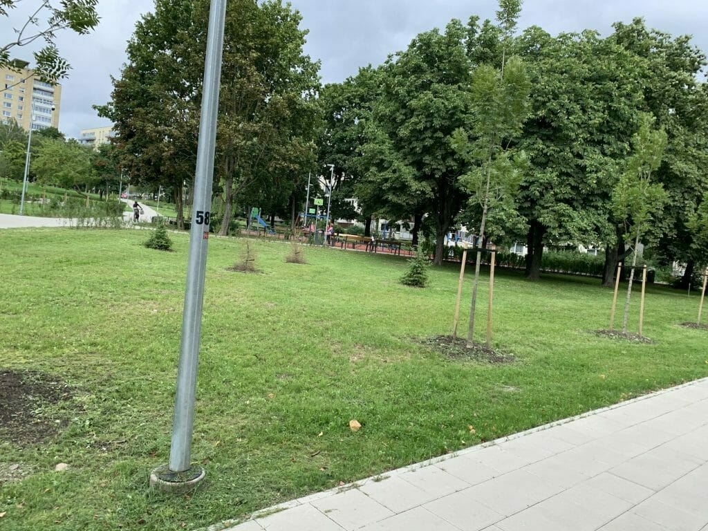 Žirmūnų trikampio modernizavimas (Tuskulėnų g.) - Bike path, Pedestrian path - construction photos