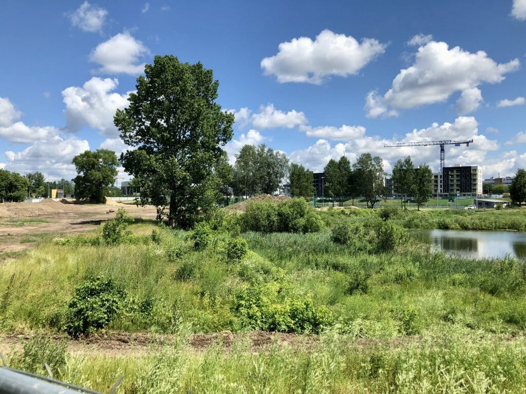 Japoniškas sodas "Taku-Soku-En" (Linkmenų g. 2A) - Park - construction photos