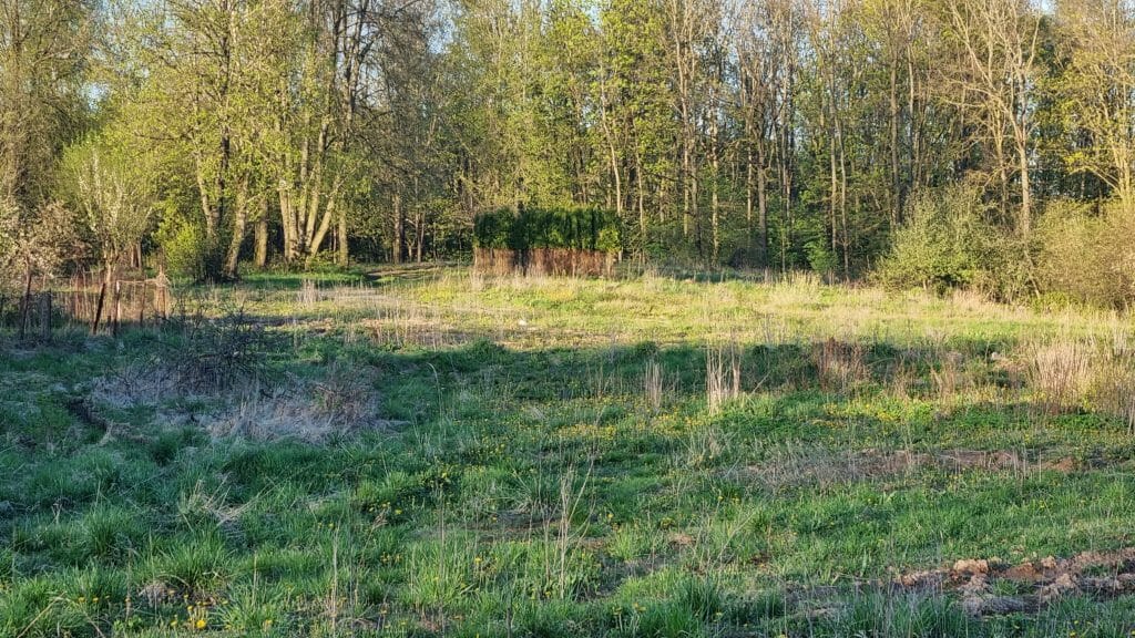 Slaugos namų ir palaikomojo gygydmo ligoninė Keramikų aklg. (Keramikų aklg. 20) - Hospital - construction photos