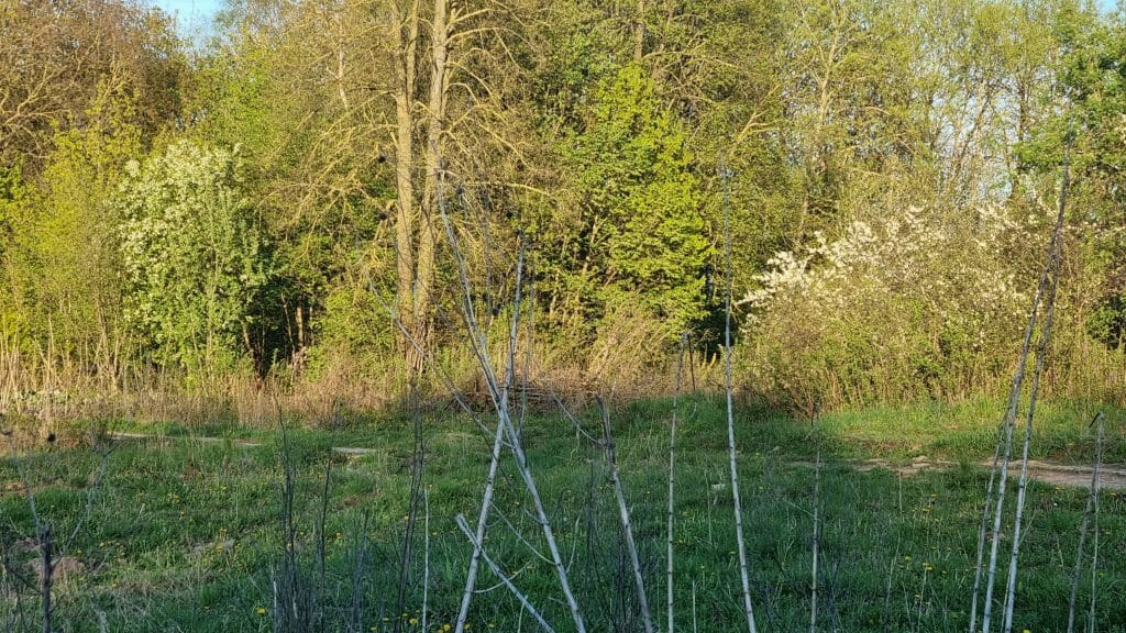 Slaugos namų ir palaikomojo gygydmo ligoninė Keramikų aklg. (Keramikų aklg. 20) - Hospital - construction photos