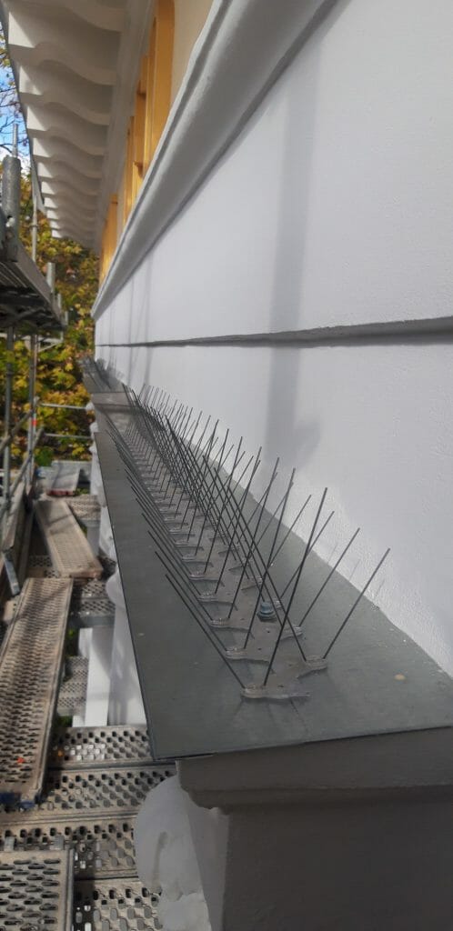 Evangelikų Reformatų bažnyčios komplekso rekonstrukcija (Pylimo g. 18) - Cultural center - construction photos