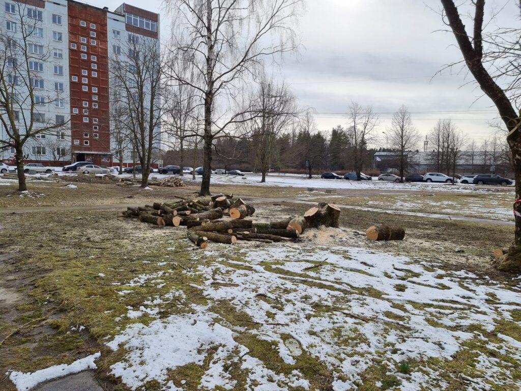 Mežciema mājas (Sergeja Eizenšteina iela 47a) - Daugiabutis - statybų nuotraukos