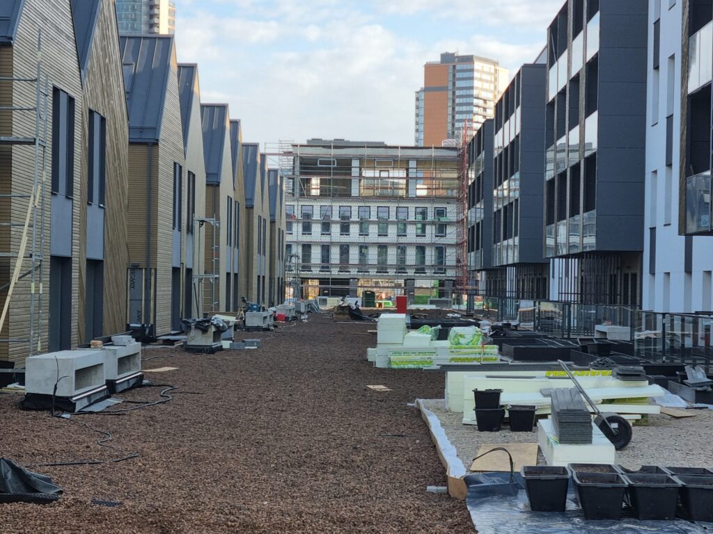 Namai-Kintai (sublokuoti namai) (Kintų g. 13) - Row housing - construction photos