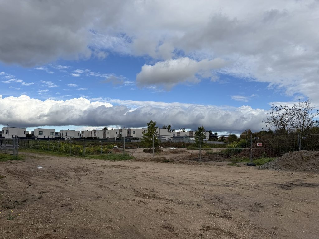 Vijūkų gatvės želdynas (Vijūkų g.) - Park - construction photos