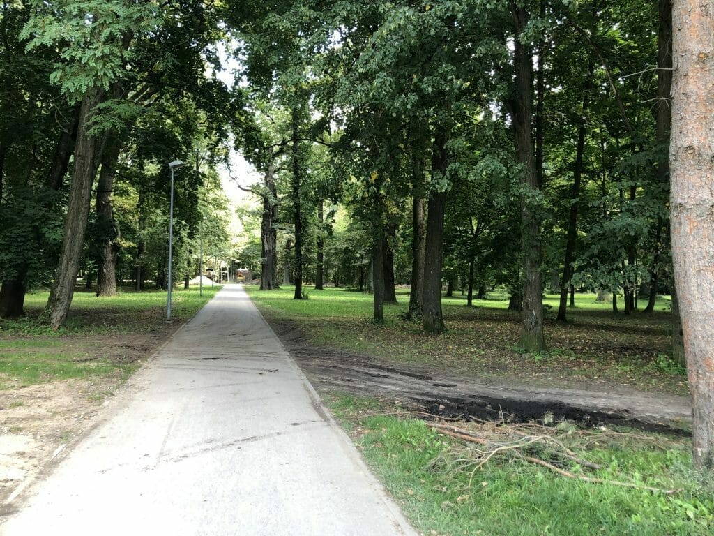 Ąžuolyno parkas (Radvilėnų pl.) - Park - construction photos