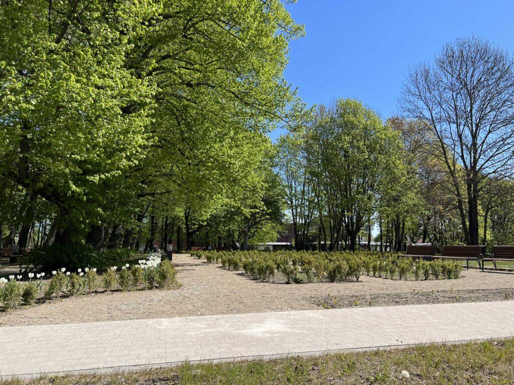 Skulptūrų parkas (K. Donelaičio g. 6B) - Park - ehituse fotod