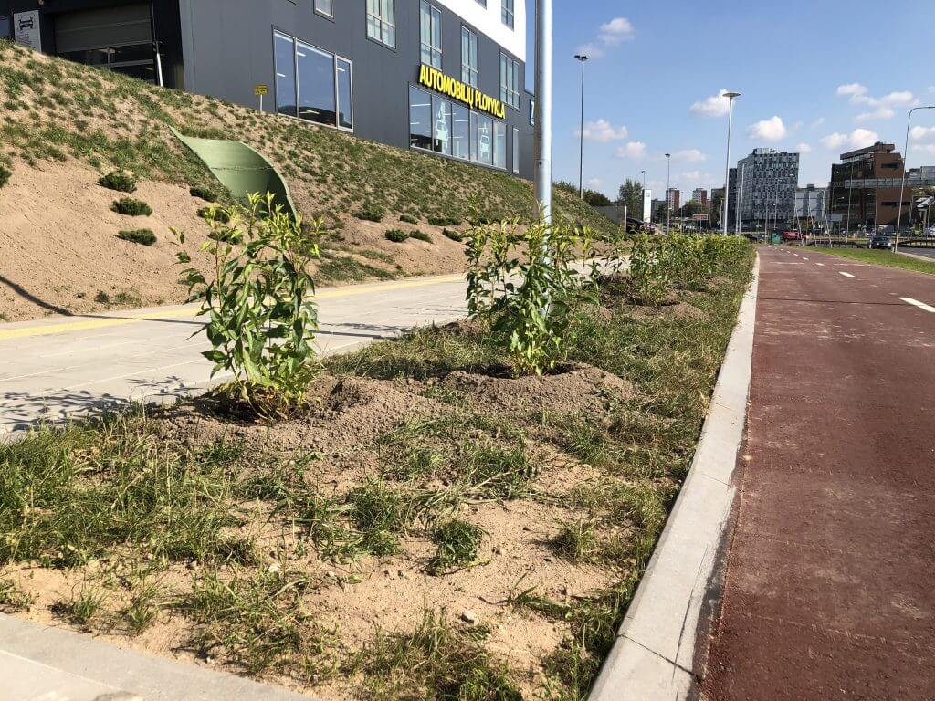 Pilaitės pr. dviračių takas (Pilaitės pr.) - Bike path - construction photos