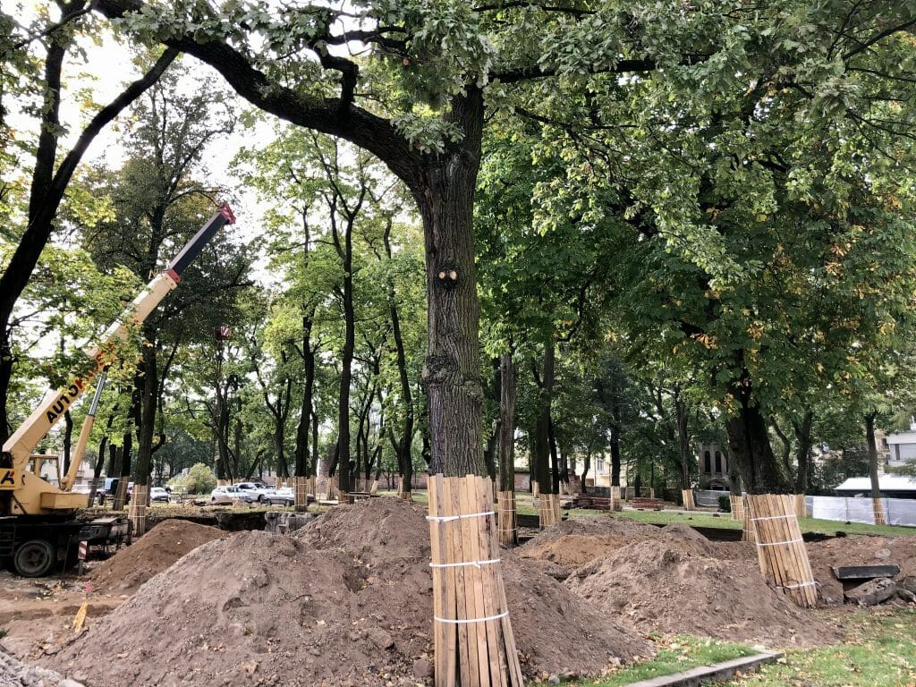 Miesto sodas (Laisvės al.) - Park - construction photos