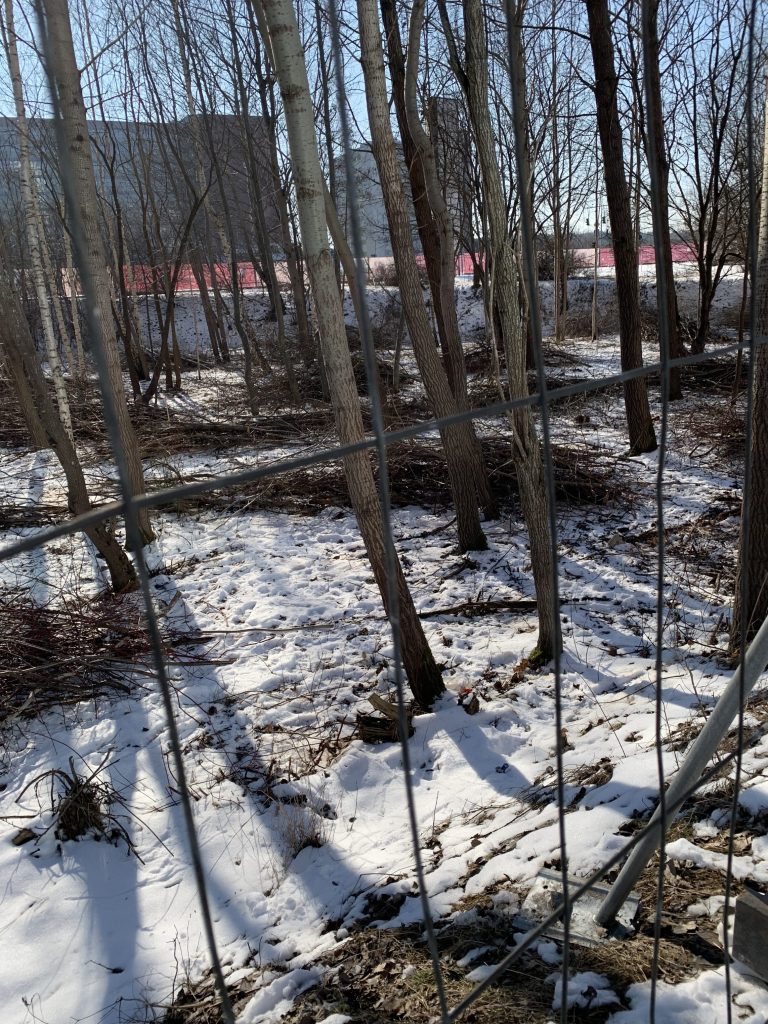 J. Rutkausko g. skveras (J. Rutkausko g.) - Parkas - statybų nuotraukos