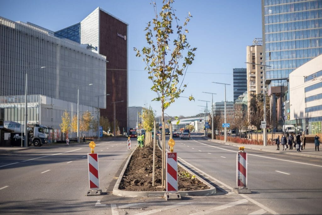 Konstitucijos pr. atnaujinimas ir apželdinimas (Konstitucijos pr.) - Bike path, Road - construction photos