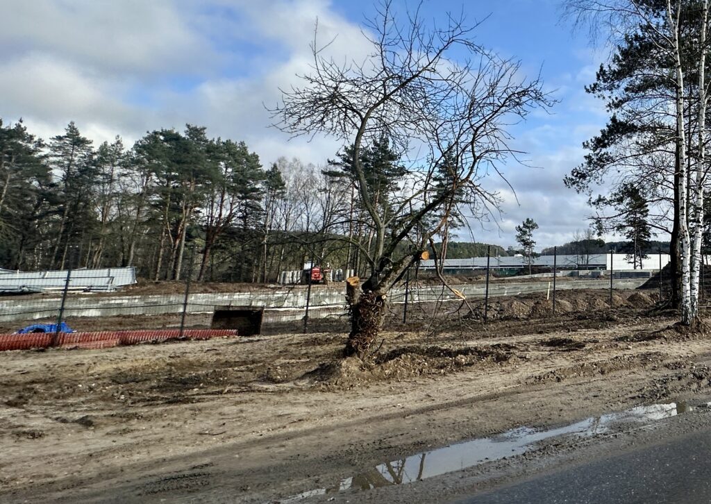 Dubliškių g. 11 (Dubliškių g. 11) - Other commercial, Warehouse / Distribution center - construction photos