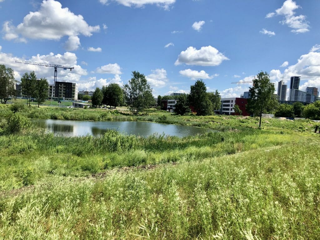 Japoniškas sodas "Taku-Soku-En" (Linkmenų g. 2A) - Park - construction photos