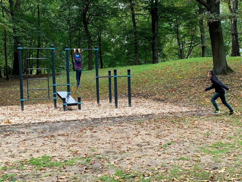 Zasulauka manufaktūras parks (Bārtas iela b/n) - Parks - būvdarbu attēli