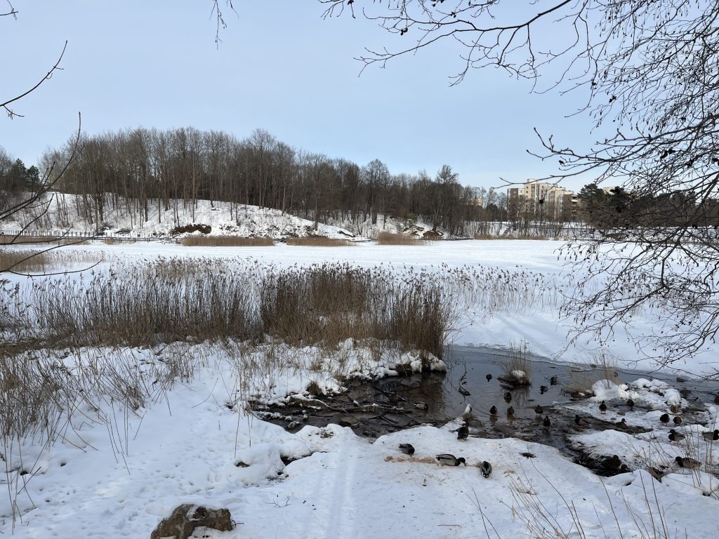Jeruzalės tvenkinio parkas (Jeruzalės g.) - Park - construction photos