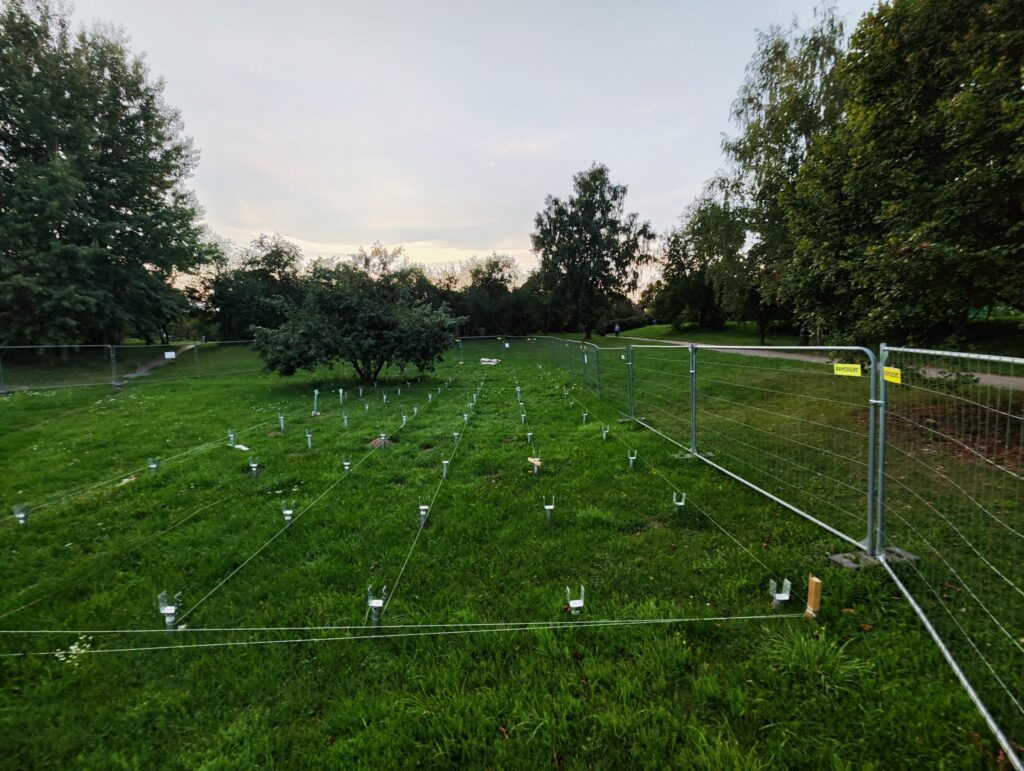 Riedučių rampos Buivydiškių g. (Buivydiškių g.) - Extreme sports center - construction photos