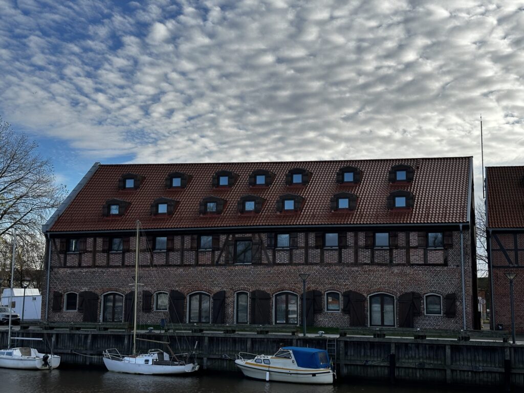 Michaelson boutique hotel priestatas (Žvejų g. 18) - Viesnīca - būvdarbu attēli