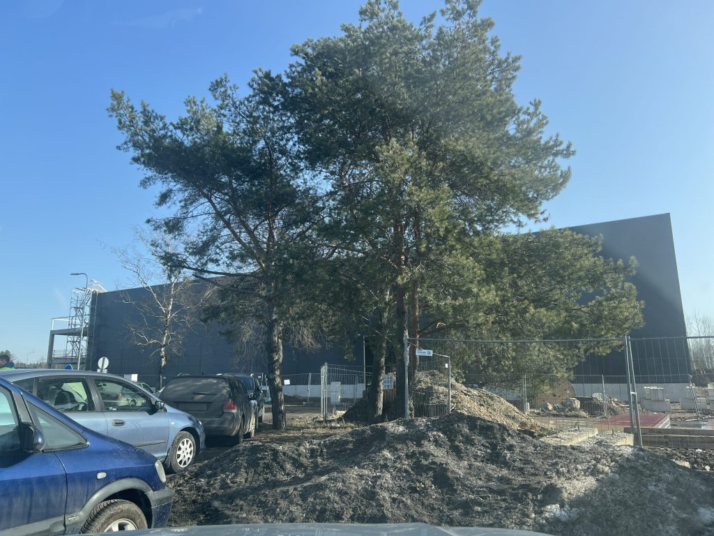 Islandijos pl. 57 (Islandijos pl. 57) - Kaubandus - ehituse fotod