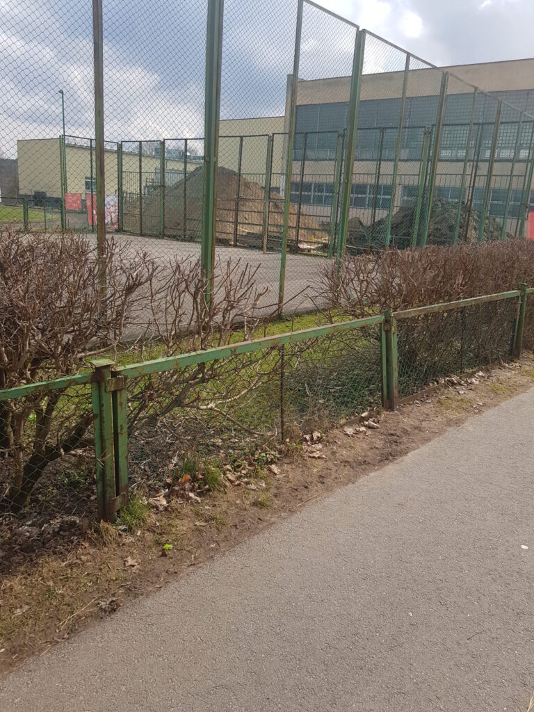 Žirmūnų gimnazijos baseino rekonstrukcija (Žirmūnų g. 37) - Pool - construction photos