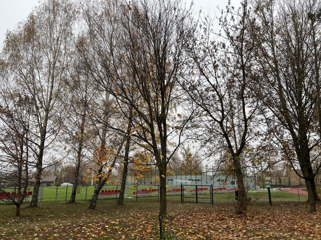 Mykolo Biržiškos gimnazijos futbolo stadionas (Taikos g. 81) - Sports field or court - construction photos