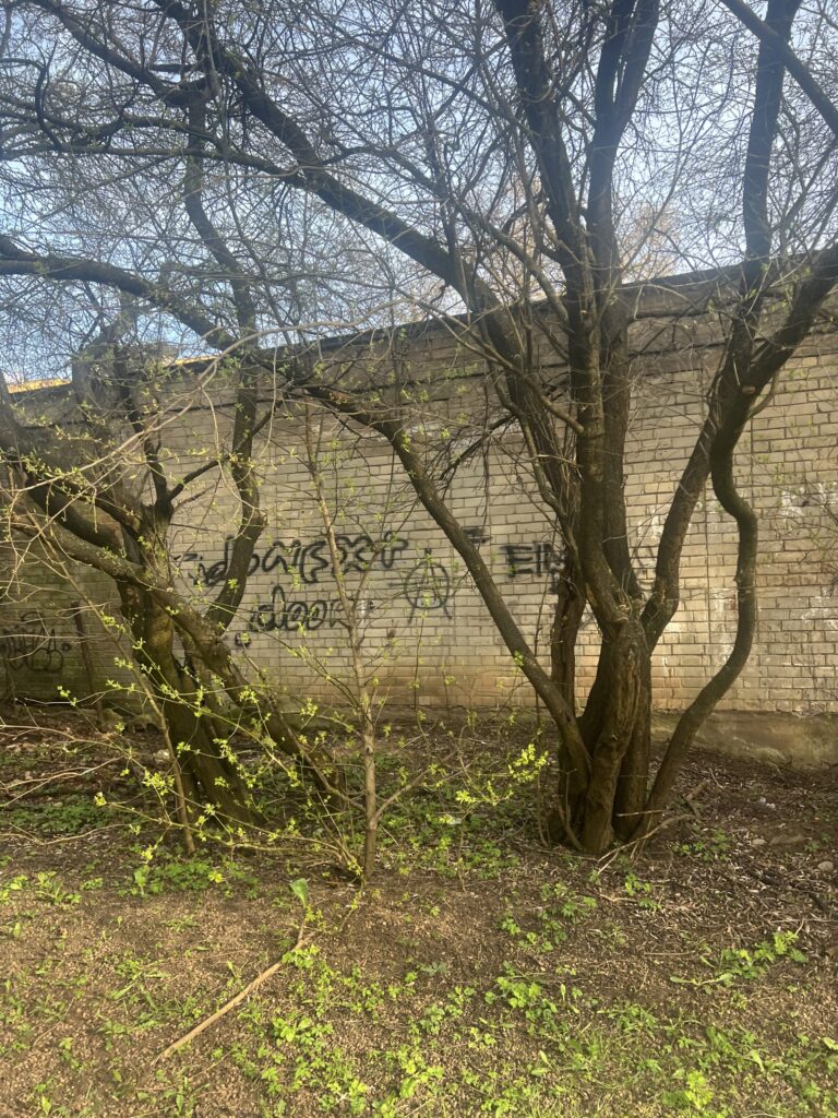 Saulės g. 41 (Saulės g. 41) - Multi apartment - construction photos