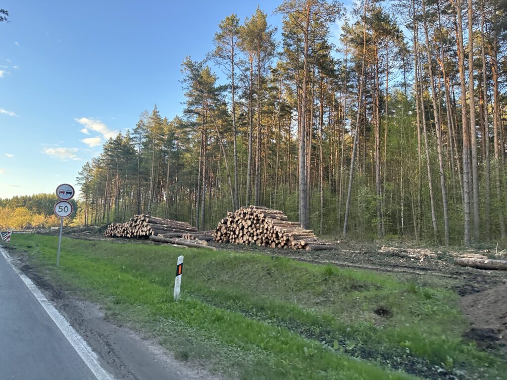 Nemenčinės pl. rekonstrukcija (Nemenčinės pl.) - Bike path, Road - construction photos