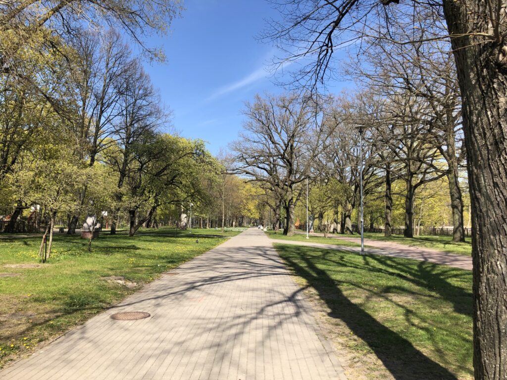 Skulptūrų parkas (K. Donelaičio g. 6B) - Park - ehituse fotod