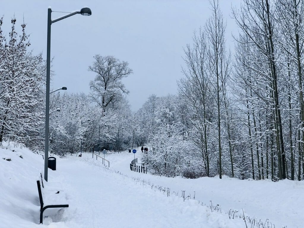 Neries senvagės slėnis (Linkmenų g.) - Bike path, Park - construction photos