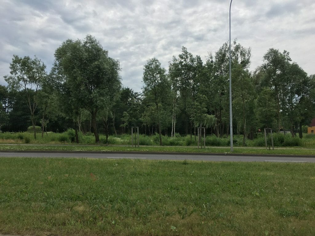 Europos sodas 1 etapas (Europos pr. 4) - Multi apartment - construction photos