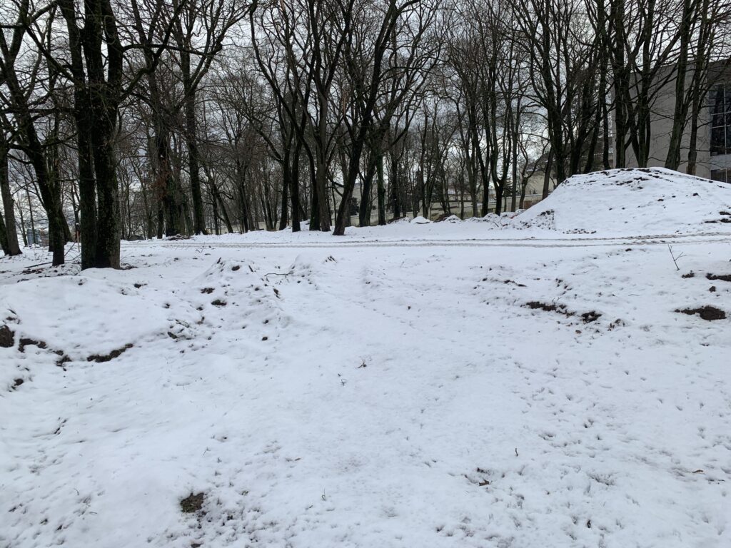 Liuteronų sodas (V. Mykolaičio - Putino g.) - Park - ehituse fotod