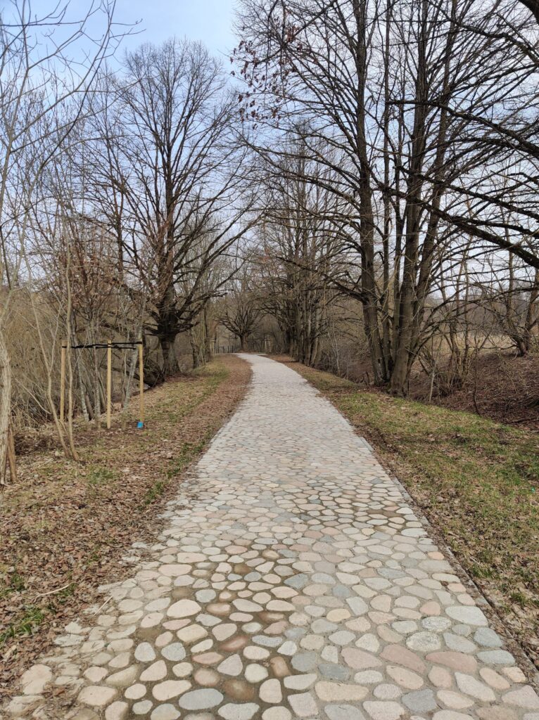 Dviračių takas Fermentų g. - Liepų alėja (Fermentų g., V. A. Graičiūno g., Stasylų g., Vinkšnų g.) - Dviračių takas - statybų nuotraukos