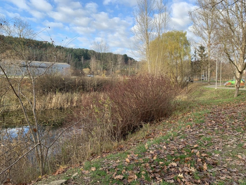 Neries senvagės slėnis (Linkmenų g.) - Bike path, Park - construction photos