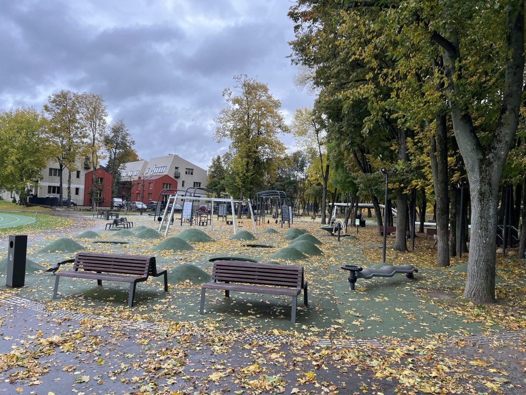 Vaikų žaidimo aikštelė Santakos parke (Prieplaukos krant.) - Sports field or court - construction photos