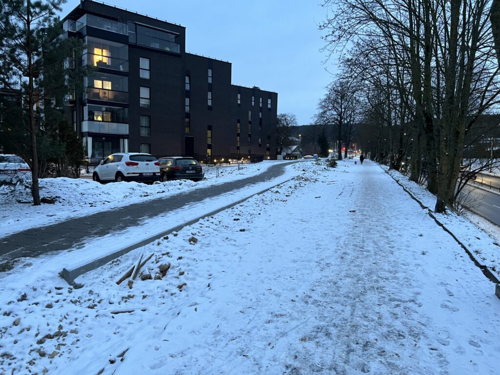 T. Narbuto g. dviračių takas ir viešojo transporto juosta (T. Narbuto g.) - Bike path - construction photos