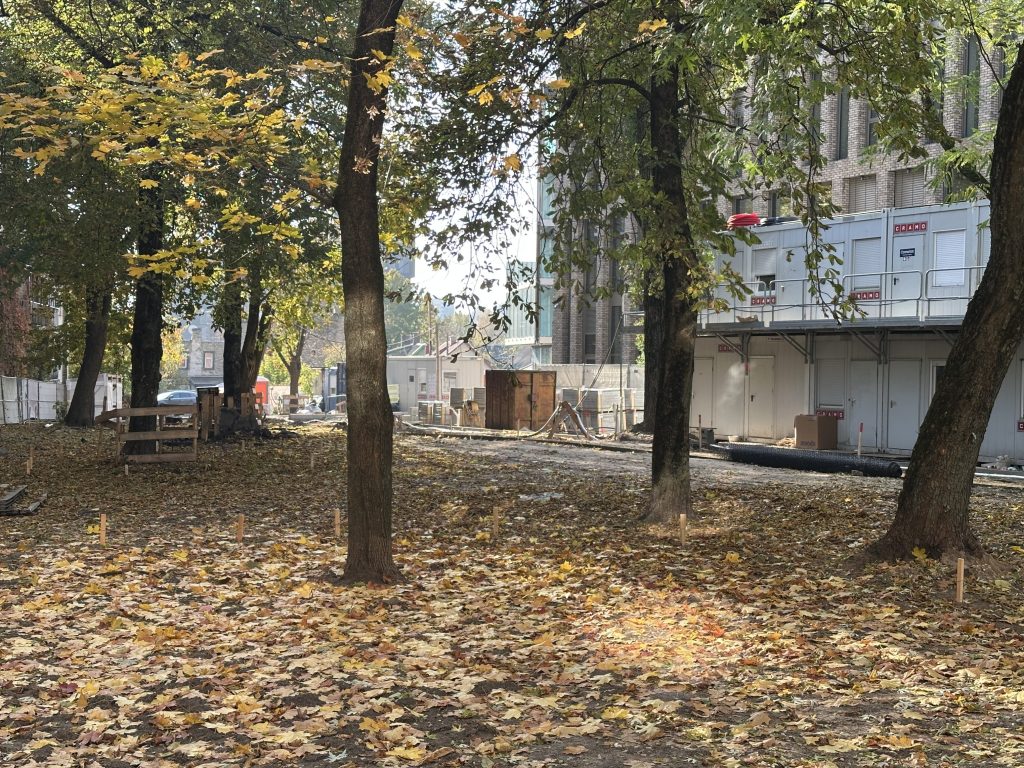 Algirdo g. 41 skveras (Algirdo g. 41) - Square - construction photos