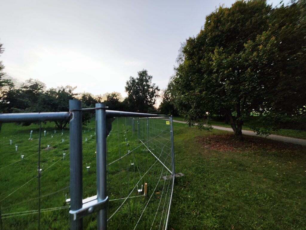 Riedučių rampos Buivydiškių g. (Buivydiškių g.) - Extreme sports center - construction photos