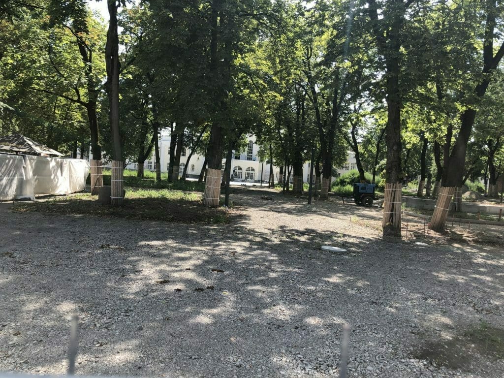 Miesto sodas (Laisvės al.) - Park - construction photos