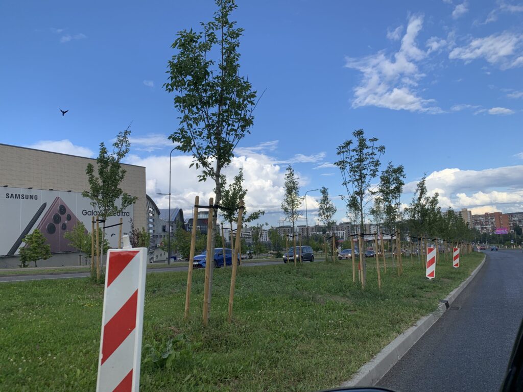 Ozo g. A juosta tarp Gelvonų ir Kernavės g. (Ozo g.) - Street - construction photos