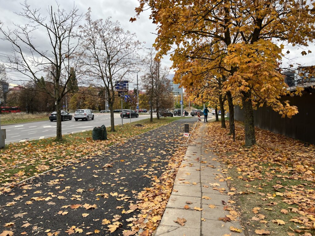 T. Narbuto g. dviračių takas ir viešojo transporto juosta (T. Narbuto g.) - Bike path - construction photos