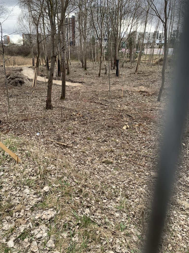 J. Rutkausko g. skveras (J. Rutkausko g.) - Parkas - statybų nuotraukos